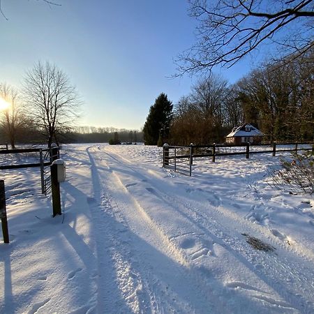 Vakantiewoning Heidebos In Het Nationaal Park Hoge Kempen Opglabbeek エクステリア 写真