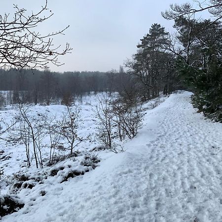 Vakantiewoning Heidebos In Het Nationaal Park Hoge Kempen Opglabbeek エクステリア 写真
