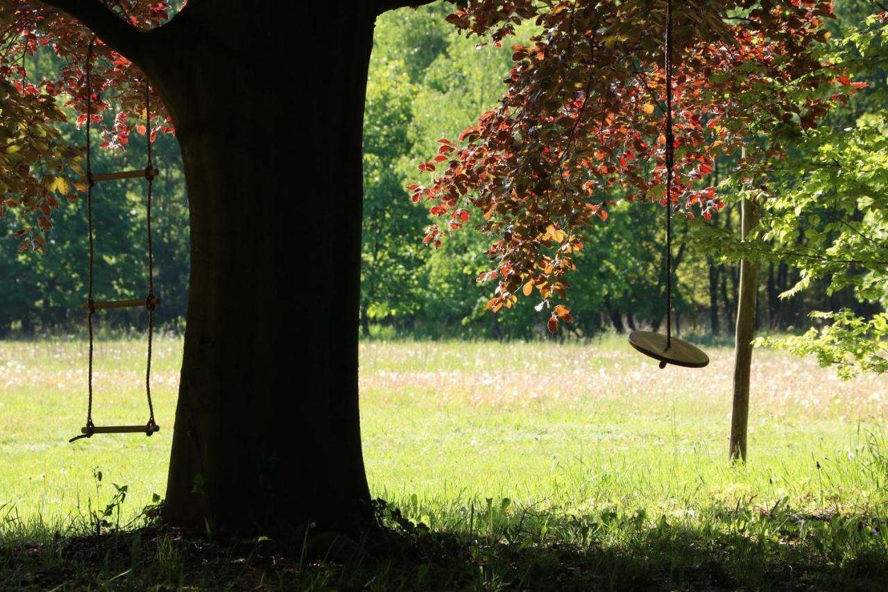 Vakantiewoning Heidebos In Het Nationaal Park Hoge Kempen Opglabbeek エクステリア 写真