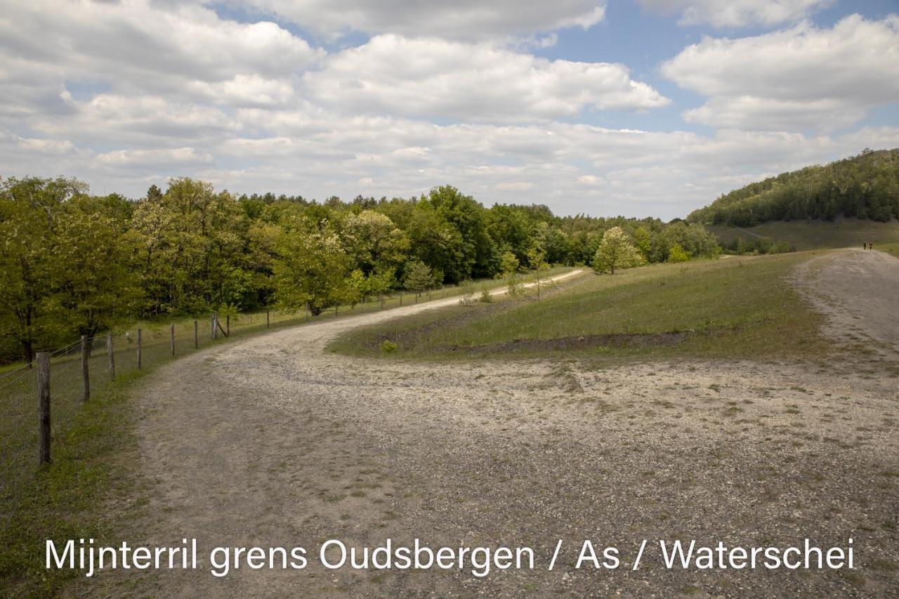 Vakantiewoning Heidebos In Het Nationaal Park Hoge Kempen Opglabbeek エクステリア 写真