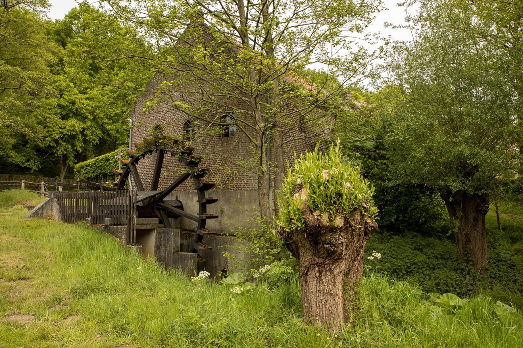 Vakantiewoning Heidebos In Het Nationaal Park Hoge Kempen Opglabbeek エクステリア 写真