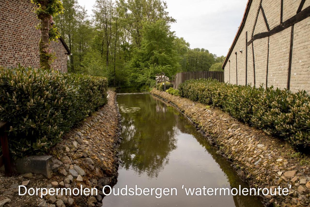 Vakantiewoning Heidebos In Het Nationaal Park Hoge Kempen Opglabbeek エクステリア 写真