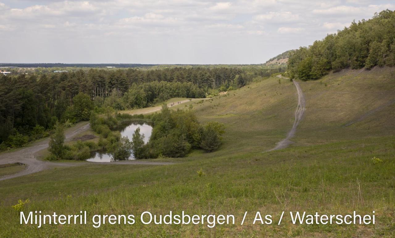Vakantiewoning Heidebos In Het Nationaal Park Hoge Kempen Opglabbeek エクステリア 写真