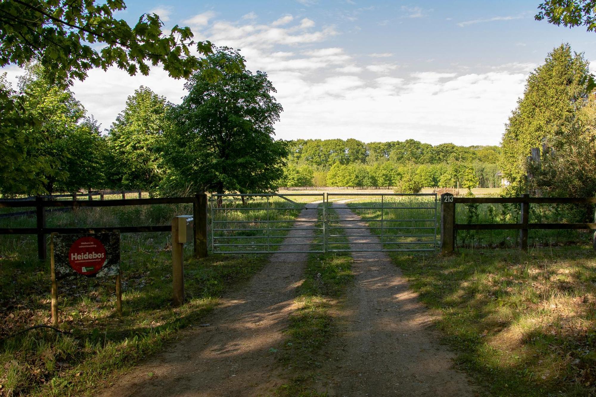 Vakantiewoning Heidebos In Het Nationaal Park Hoge Kempen Opglabbeek エクステリア 写真