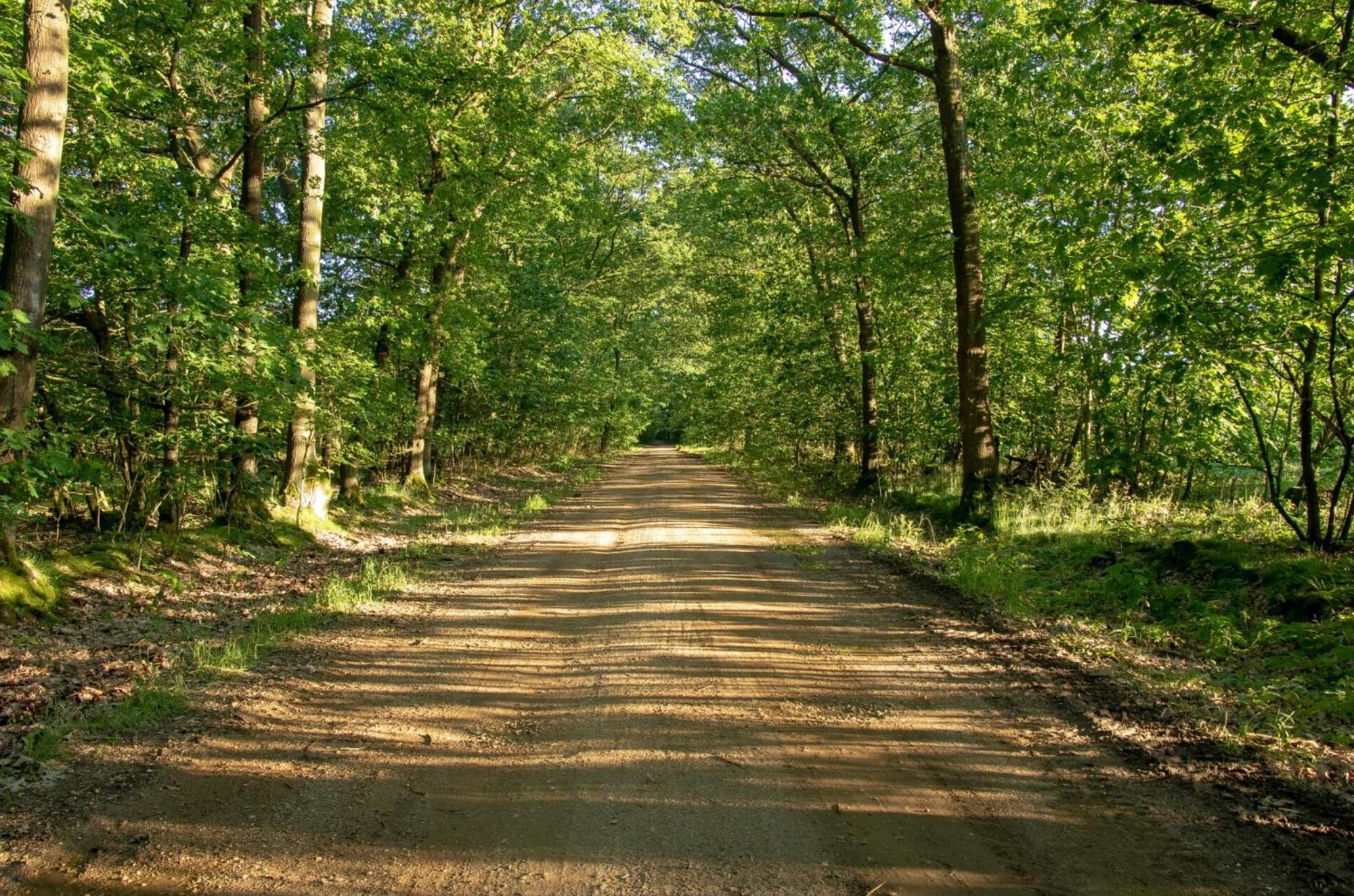 Vakantiewoning Heidebos In Het Nationaal Park Hoge Kempen Opglabbeek エクステリア 写真
