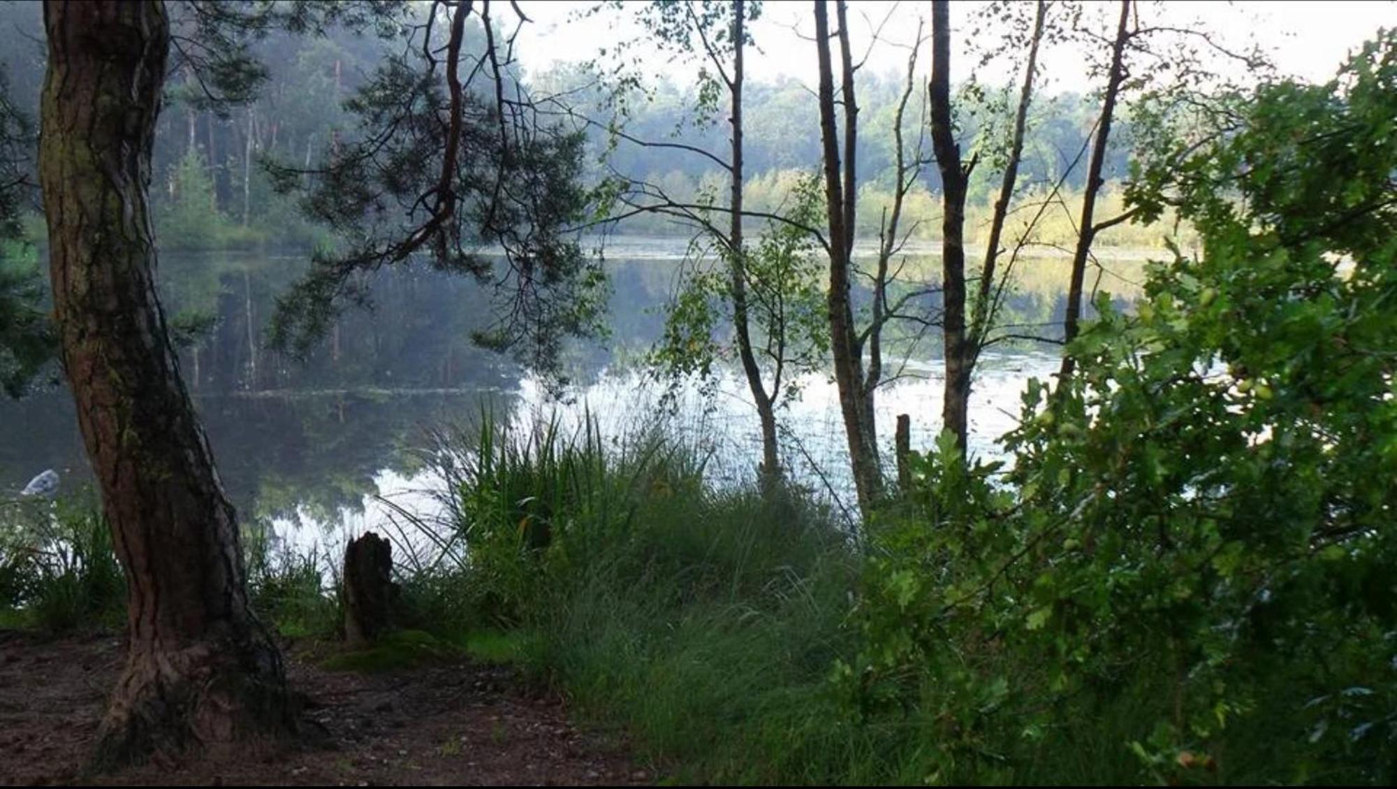 Vakantiewoning Heidebos In Het Nationaal Park Hoge Kempen Opglabbeek エクステリア 写真