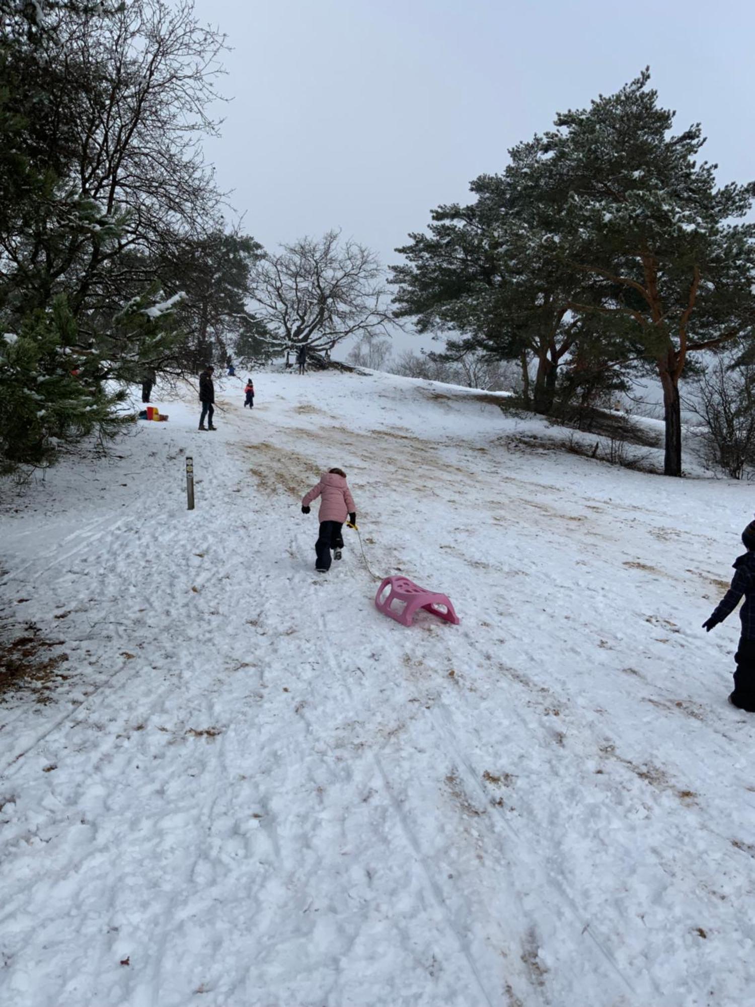 Vakantiewoning Heidebos In Het Nationaal Park Hoge Kempen Opglabbeek エクステリア 写真