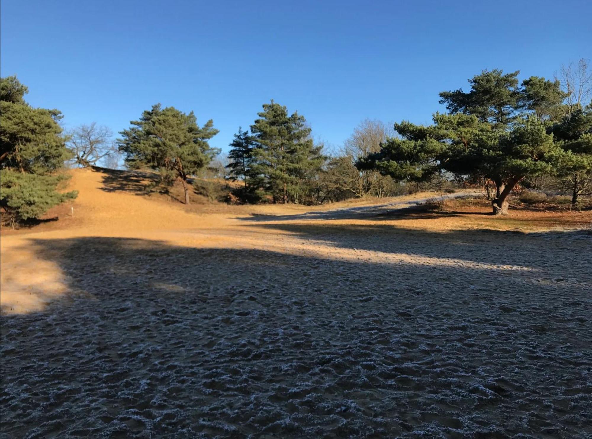 Vakantiewoning Heidebos In Het Nationaal Park Hoge Kempen Opglabbeek エクステリア 写真