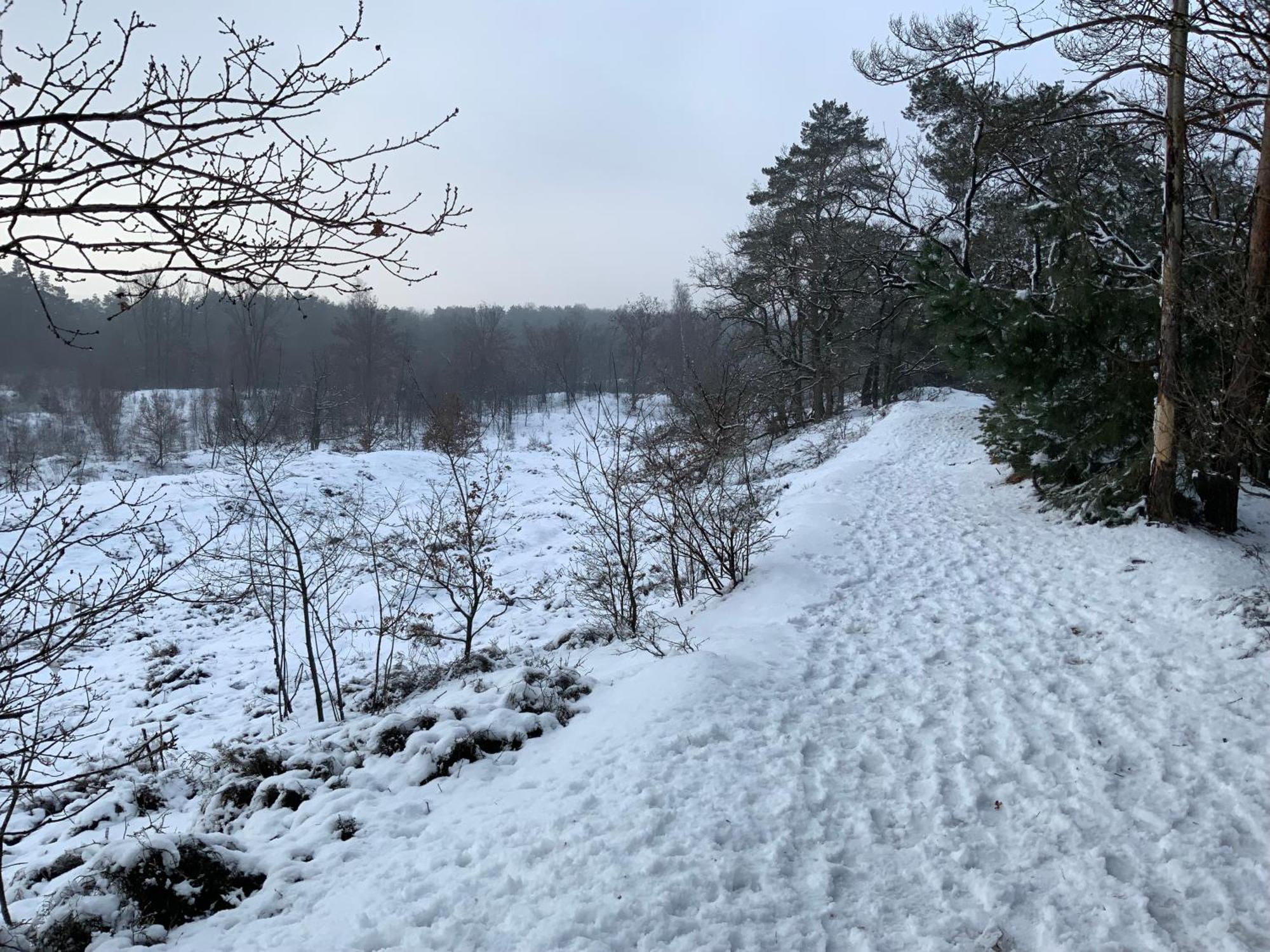 Vakantiewoning Heidebos In Het Nationaal Park Hoge Kempen Opglabbeek エクステリア 写真
